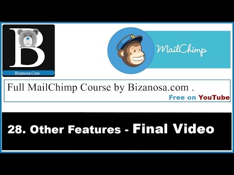 28 Mailchimp Users - final video
