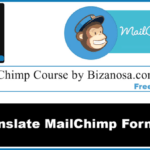 How to translate mailchimp forms