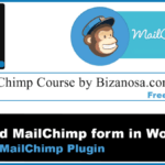 embed a mailchimp signup on wordpress using a plugin