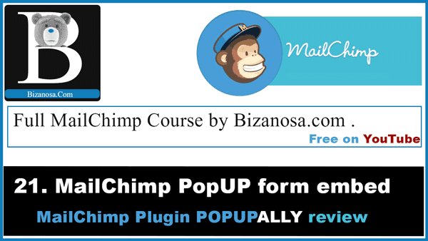 21 Using PopupAlly for mailchimp popups