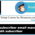 Add and edit mailchimp subscriber manually