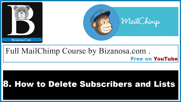 8 Delete Mailchimp subscribers / Lists