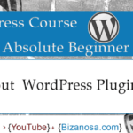 Working with WOrdPress plugins - WP video tutorial