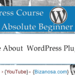 How to install WordPress plugins - wordpress video tutorial