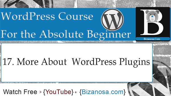 17. More about WordPress plugins