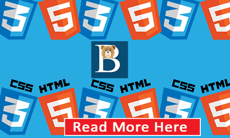 Learn HTML and CSS on Udemy - By Bizanosa