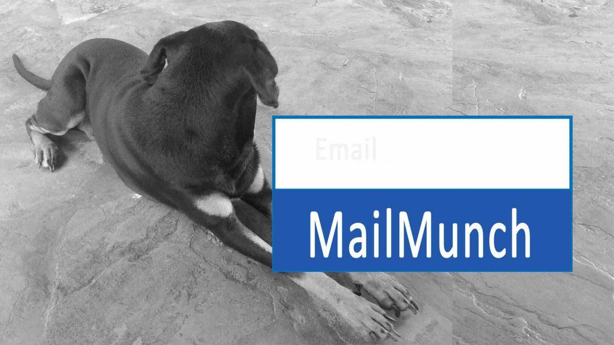 FREE  Mailmunch Tutorial for beginners