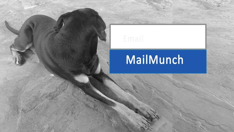 mailmunch tutorial course for beginners