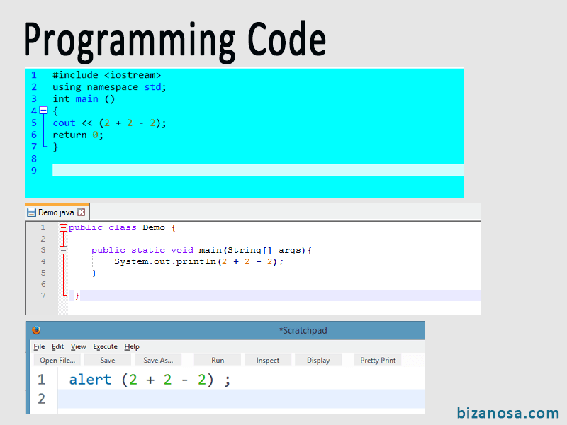 2 The programming code samples - Flash