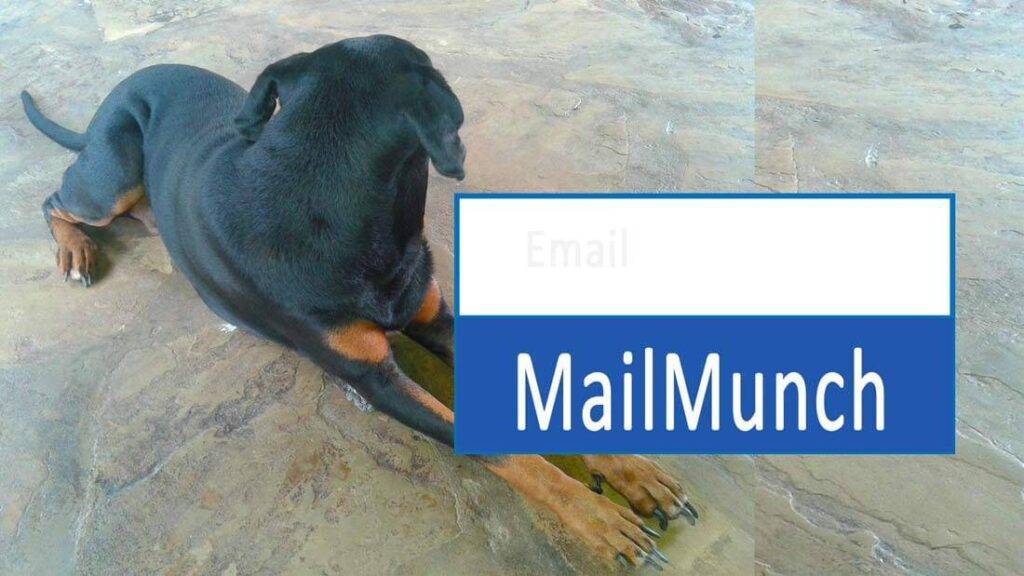 Mailmunch tutorial for beginners