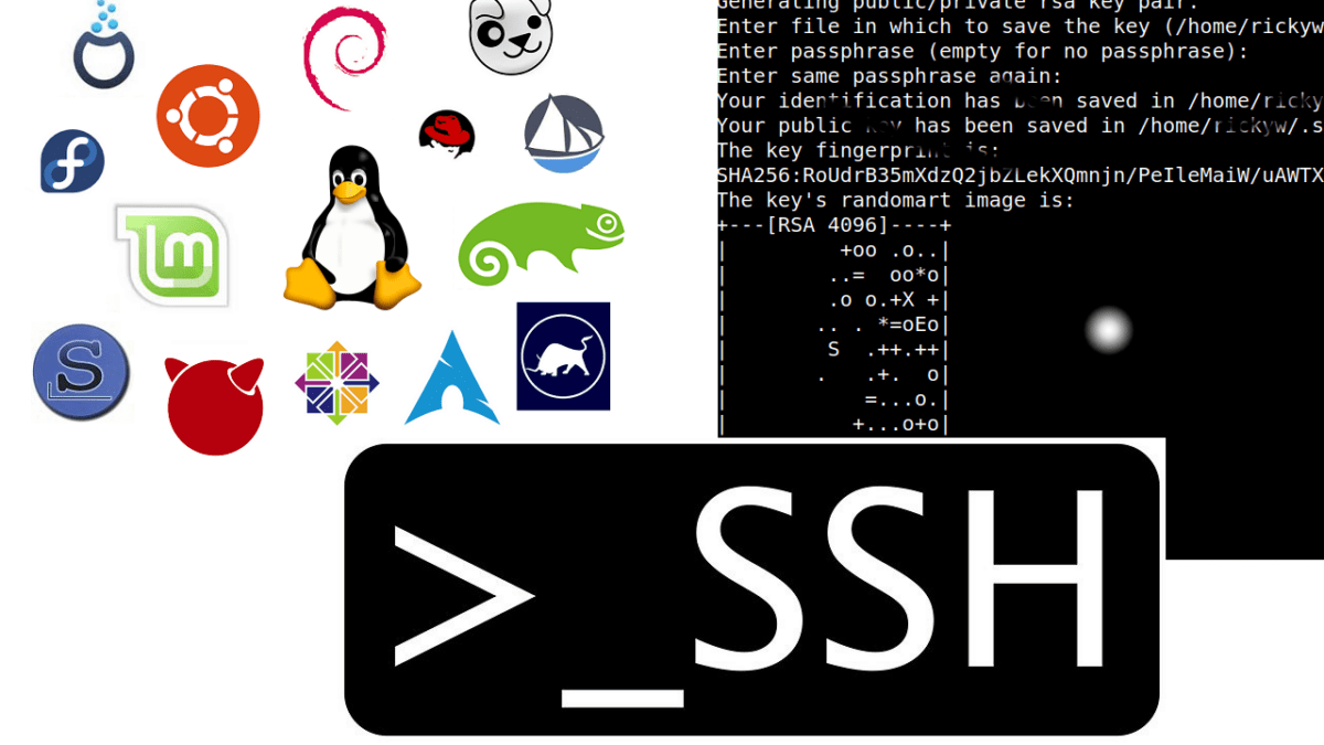 Generate SSH keys and use them to log into your CentOS/ RHEL / Debian Server