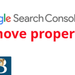 Google Search Console Delete Website Property url